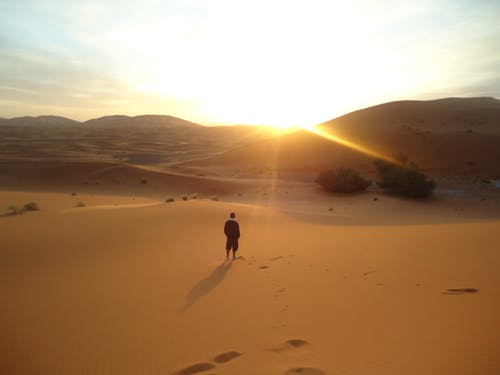 Blessings in the Desert