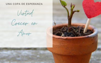 Copa de Esperanza: Virtud: Crecer en Amor