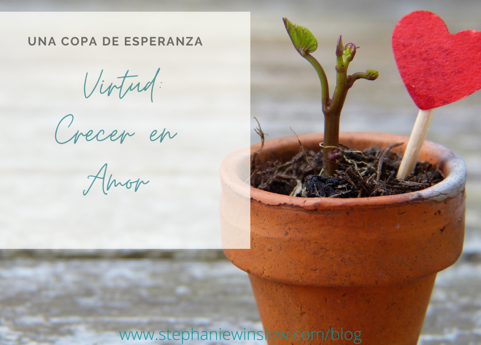 Copa de Esperanza: Virtud: Crecer en Amor